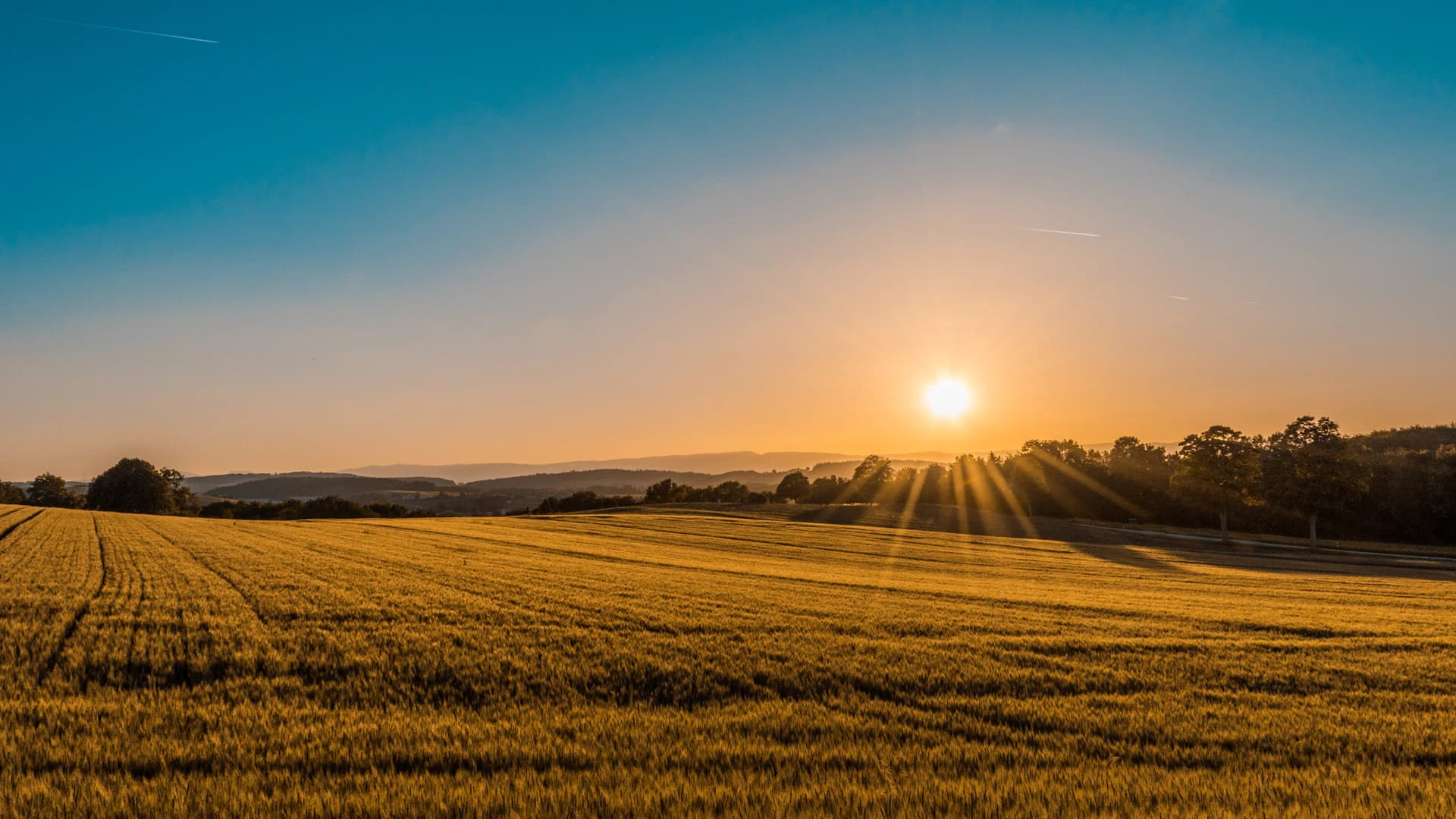 Locations de vacances à la campagne